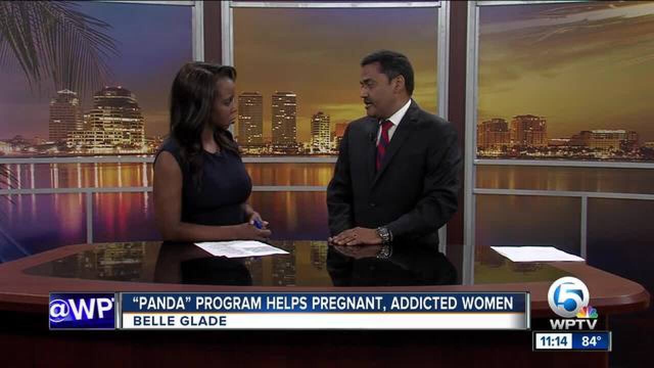'Panda' program helps pregnant, addicted women