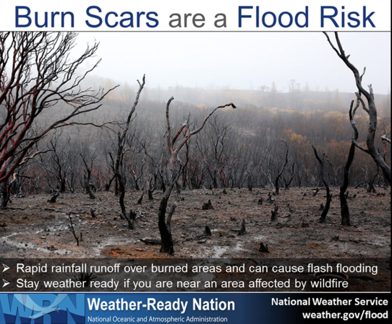 Screen Shot 2021-07-31 at 9.55.16 AM.png