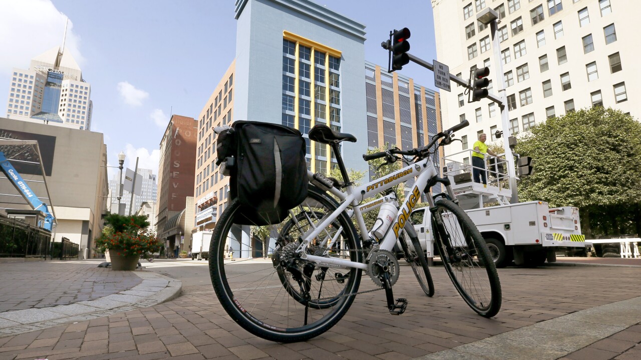 Bike Lane Bikes