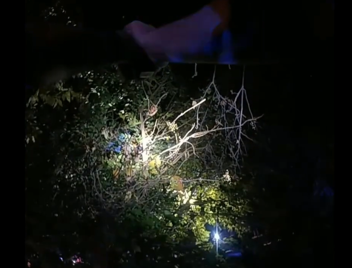 Screenshot 2023-12-08 131728.png