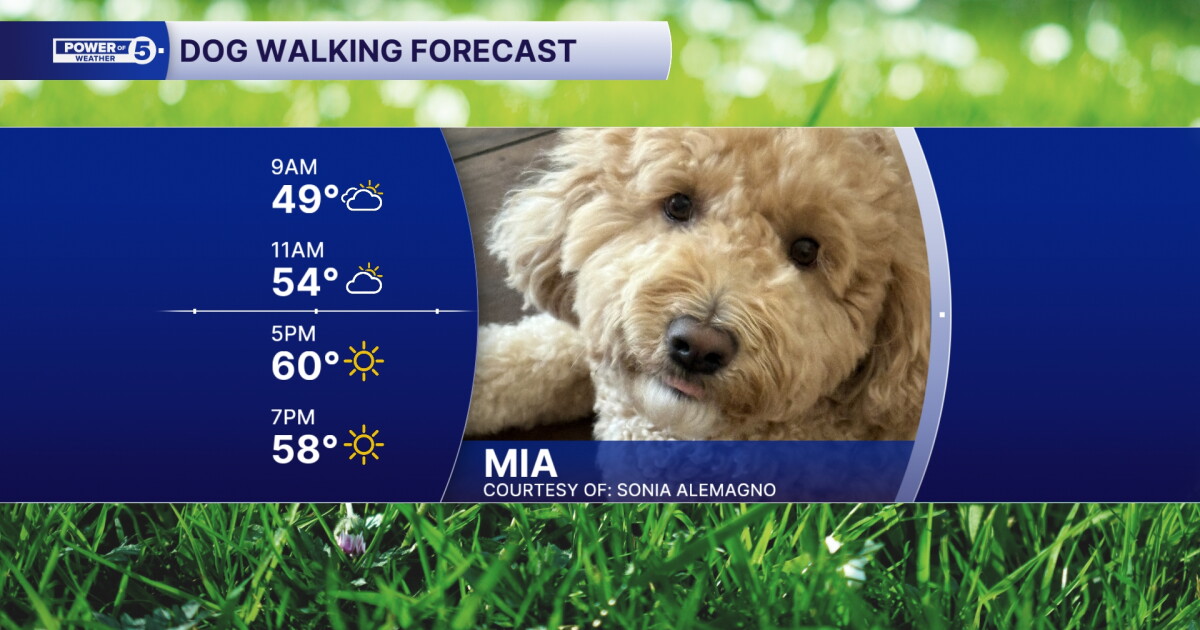 A foggy start gives way to a sunny finish for Sunday's dog walking forecast