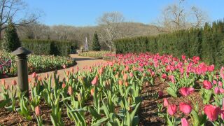 cheekwood.jpeg