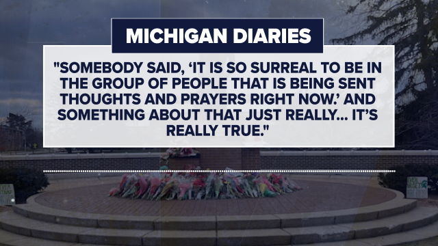 Michigan Diaries Project, Michigan State University