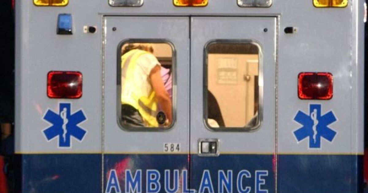 Woman dies after being kicked by horse