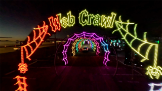 Zombie Zoo
