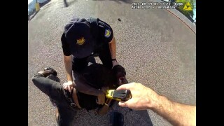 McAlpin Arrest video