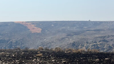 IMG_8339.jpg