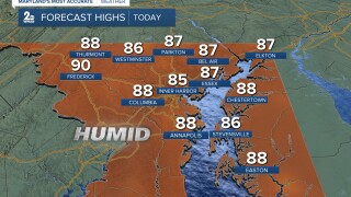 TEMPS.jpg