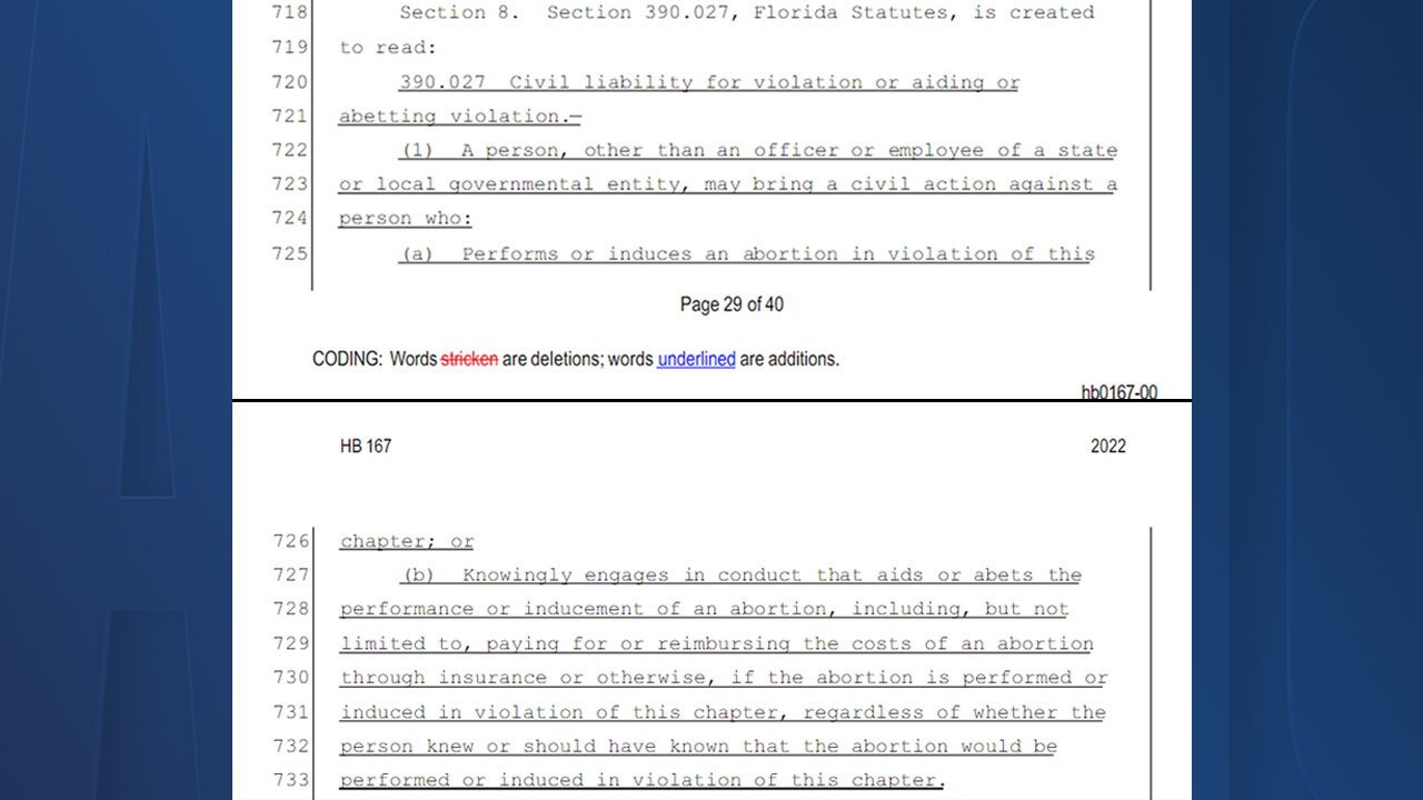 HB-167-(2022)-Section-8-myfloridahouse.jpg