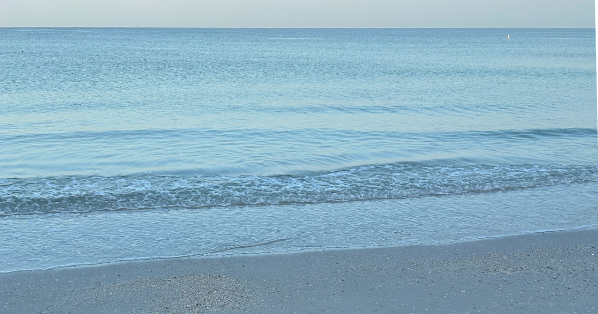 No-swim advisory issued for Siesta Key and Caspersen beaches - Vimarsana News