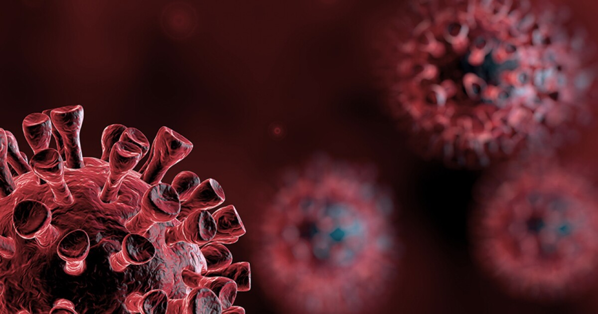 Coronavirus Antibody Testing Available At Northland Clinic