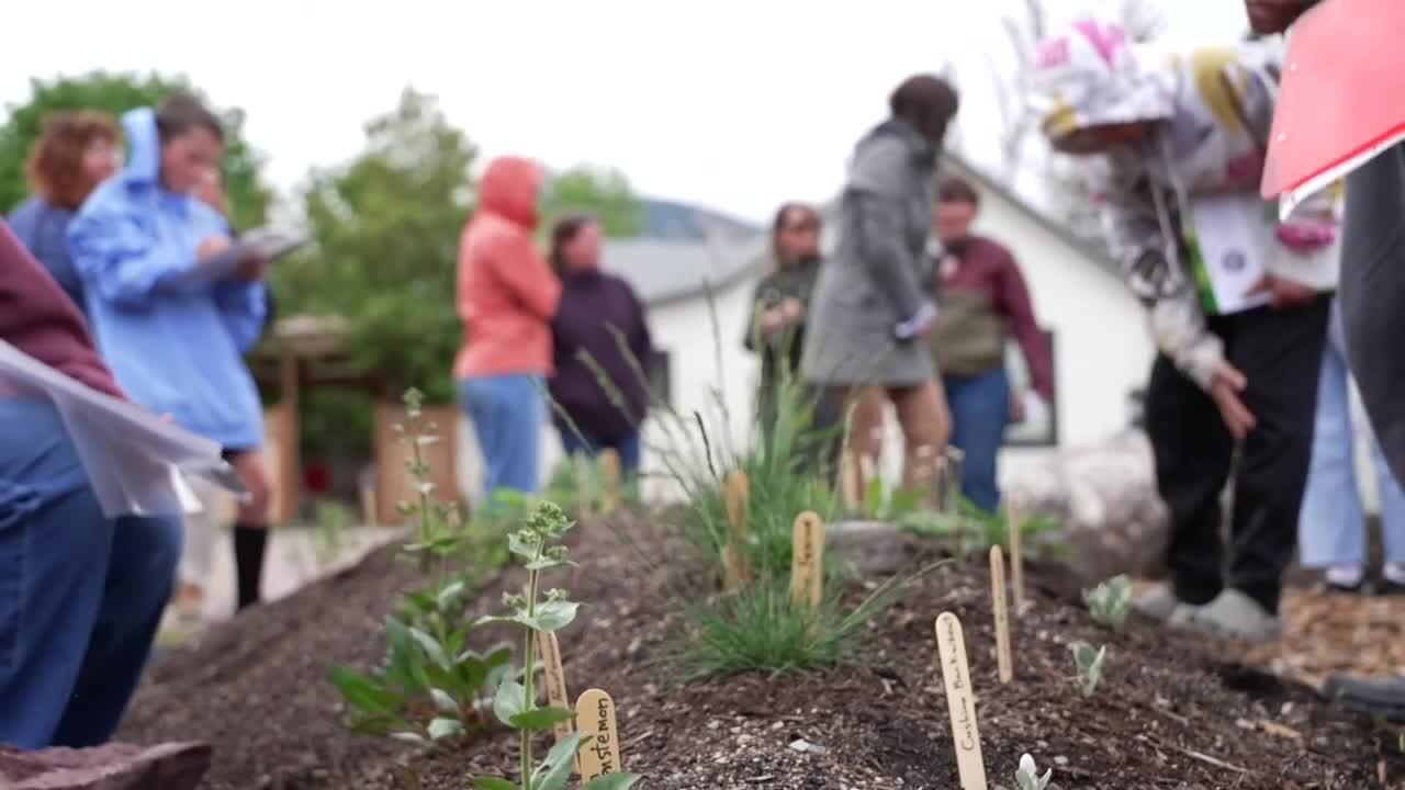 Bonner Native Garden