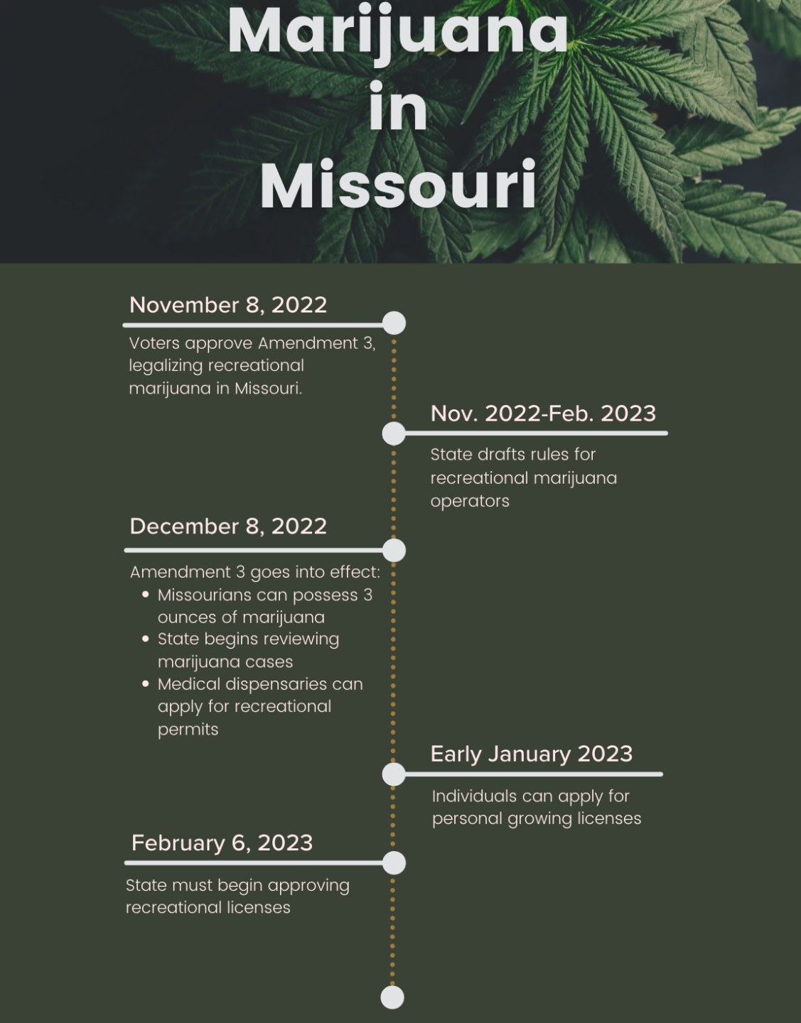 4k MARIJUANA MO TIMELINE.png
