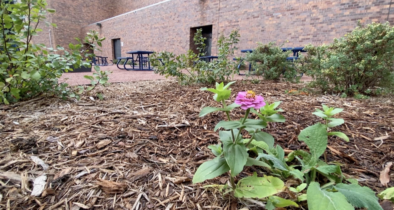Outdoor classroom space