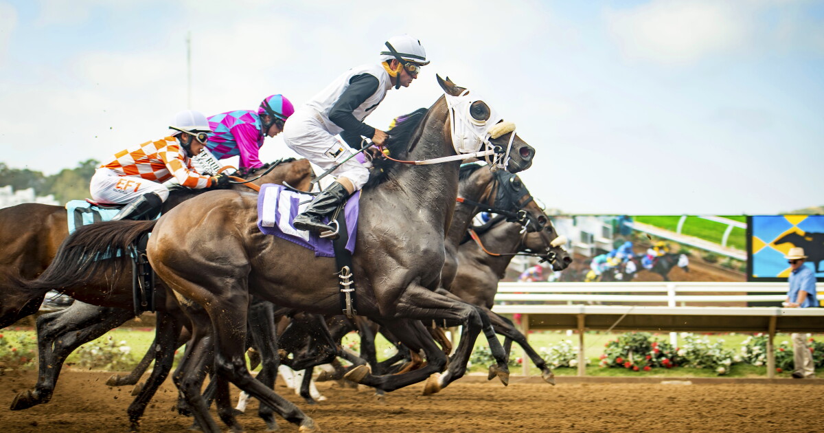 Del Mar's 84th racing season begins with sold-out Opening Day - Vimarsana News