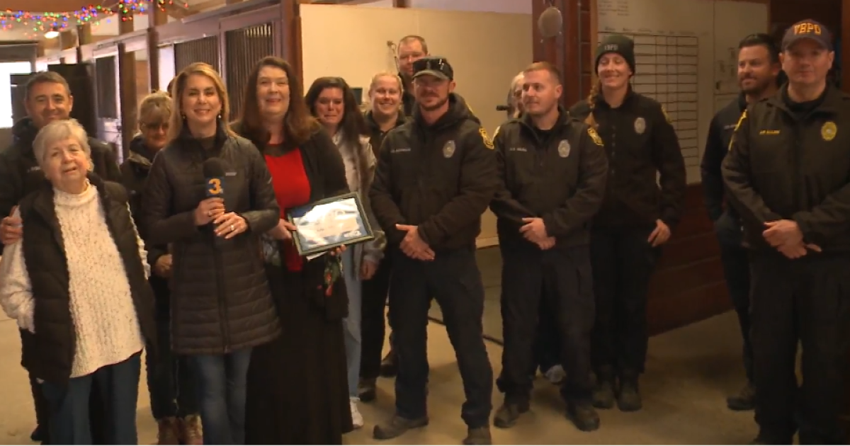 Volunteer supports horses, officers in the Virginia Beach Mounted Patrol - Vimarsana News