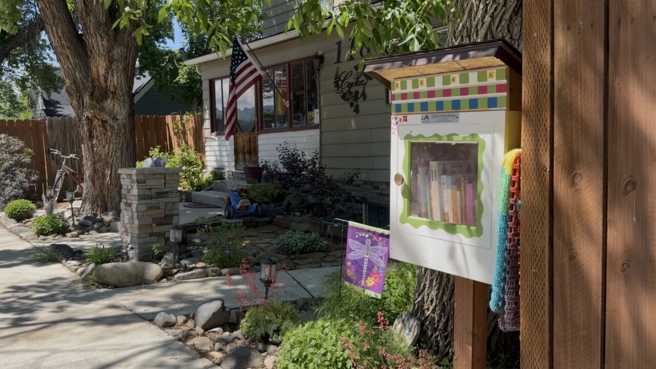 Little Free Library