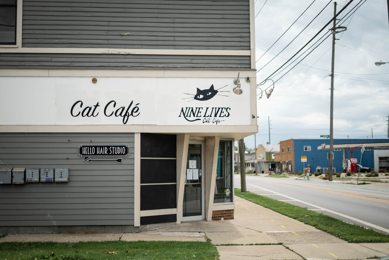 Nine lives (1 of 20).jpg