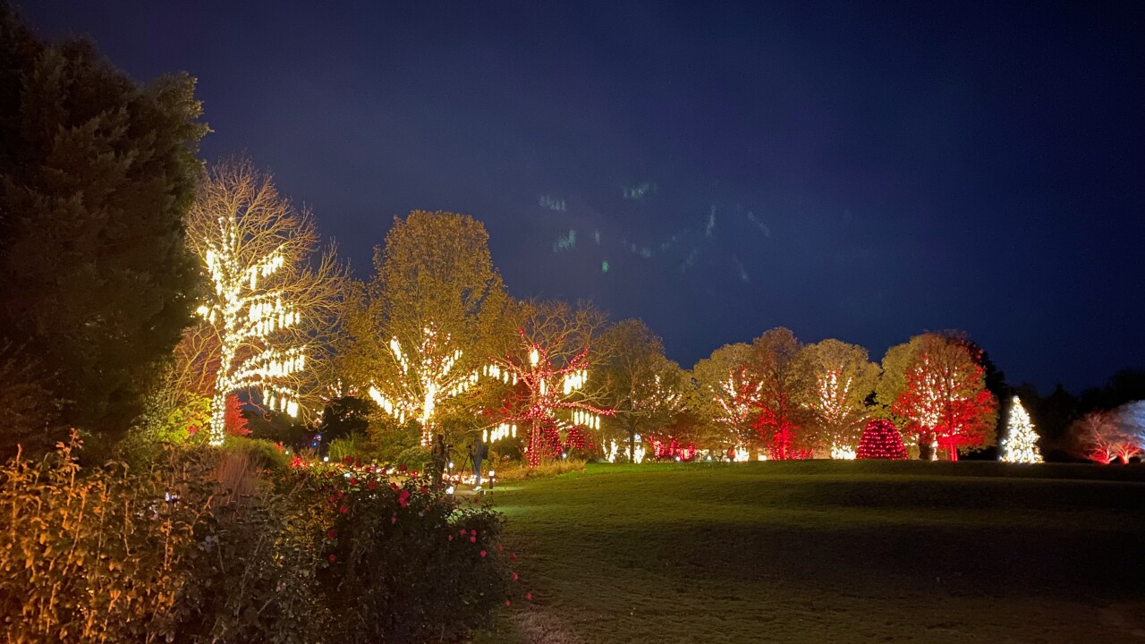 🎄Dominion Energy GardenFest of Lights 2024🎄
