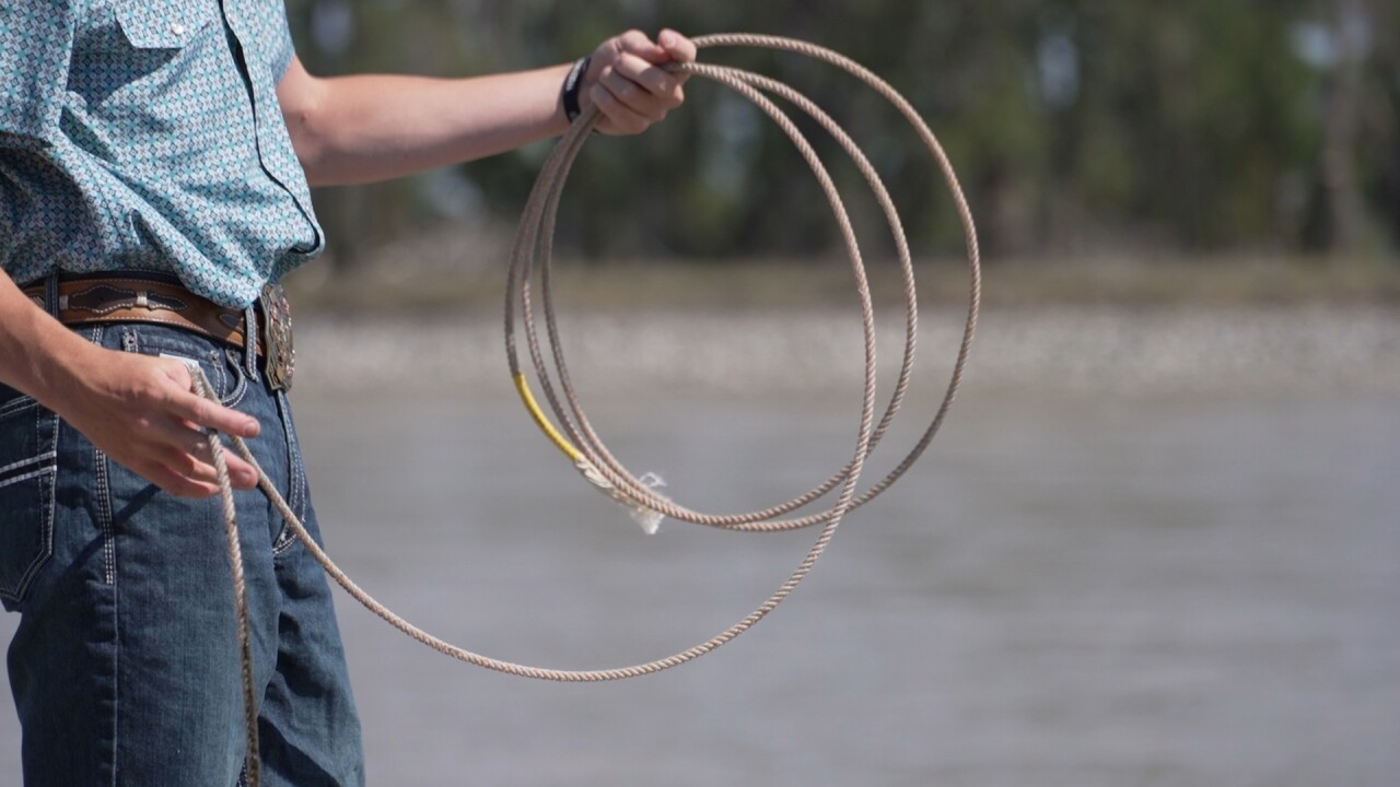 lasso5_2.14.1.jpg