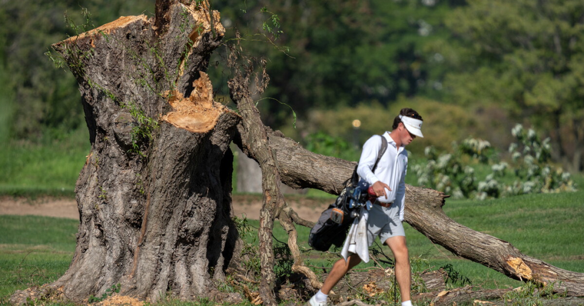 Judge halts tree-cutting at historic DC golf course amid Trump's renovation plans