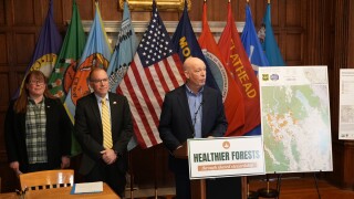 Gianforte Forest Management