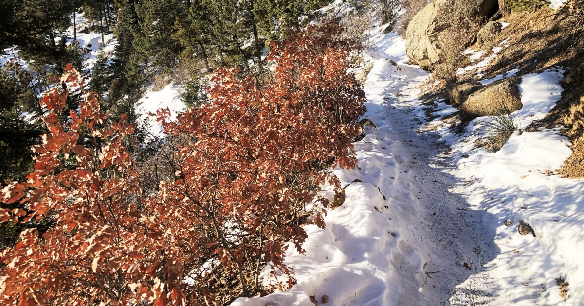 Amid Covid 19 Fears The Cdc Cpw Welcome Coloradans To