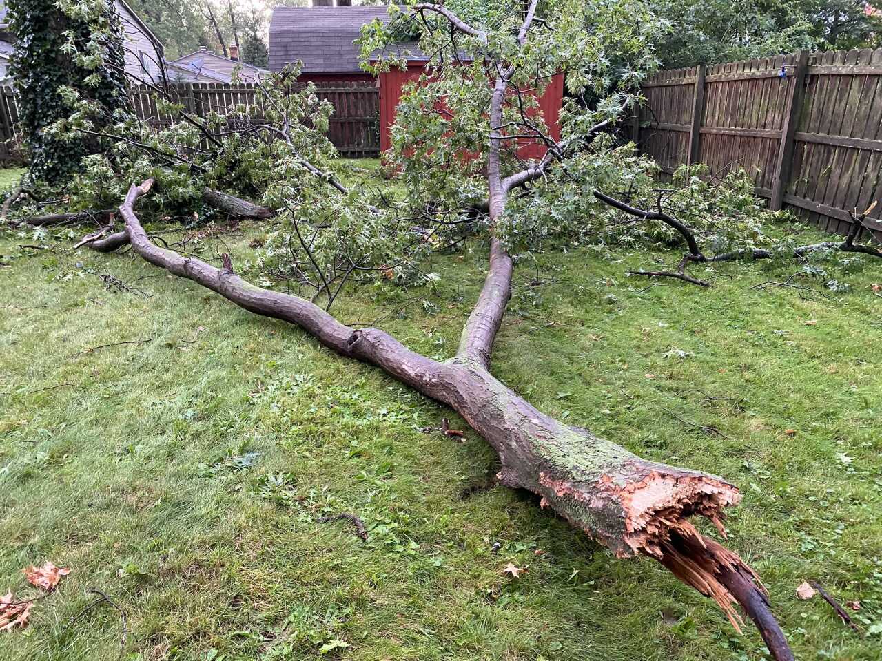 Image from iOS (2).jpg