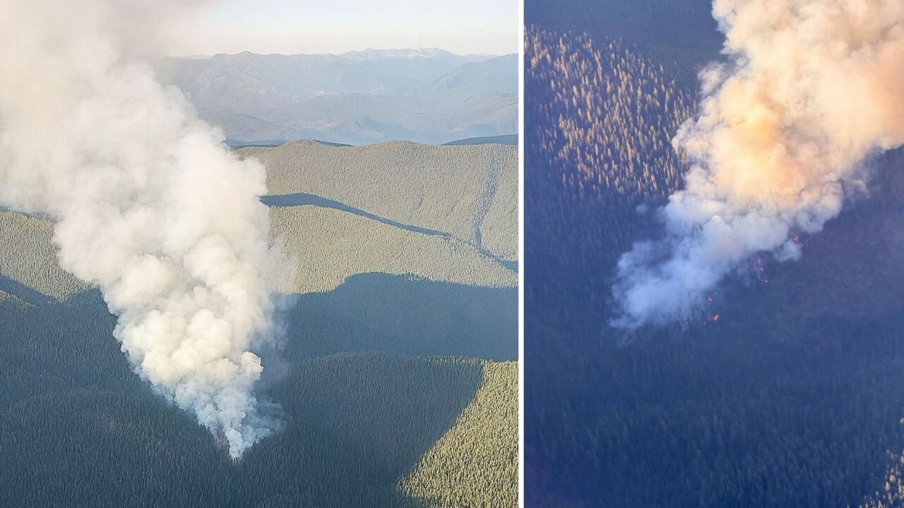 wildfire.jpg