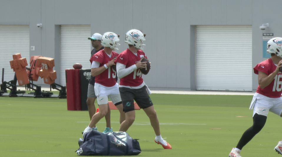 Dolphins Quarterback
