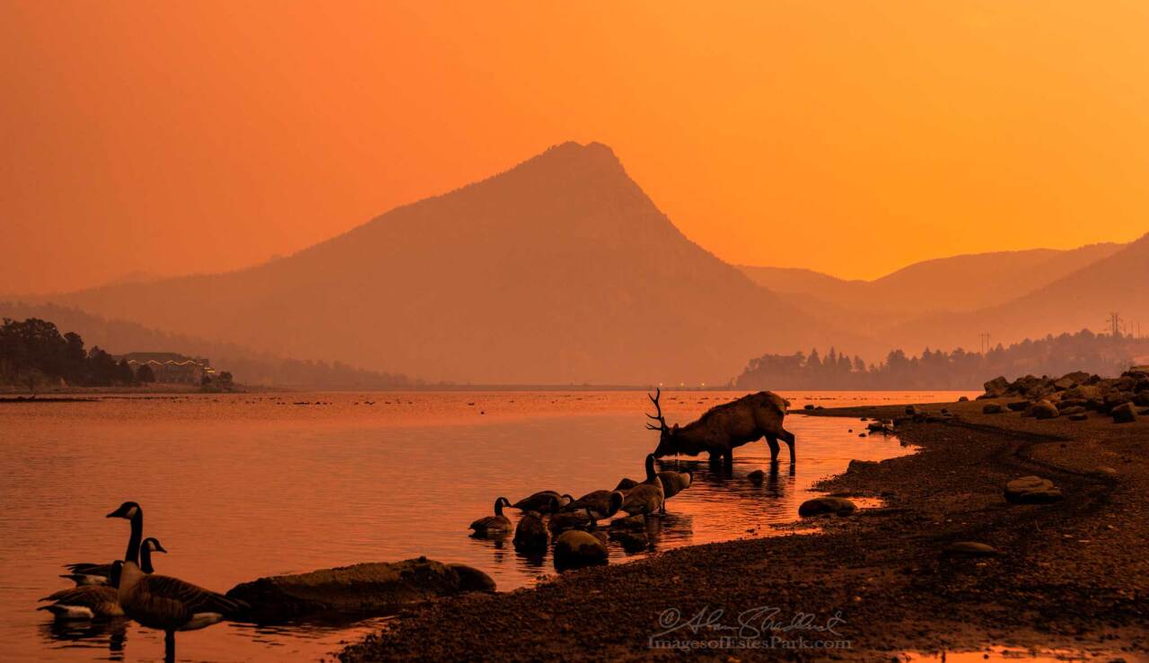 East Troublesome Fire_by Alan Shadduck's Images of Estes Park