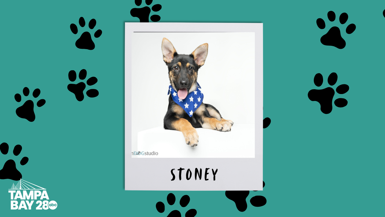 Stoney
