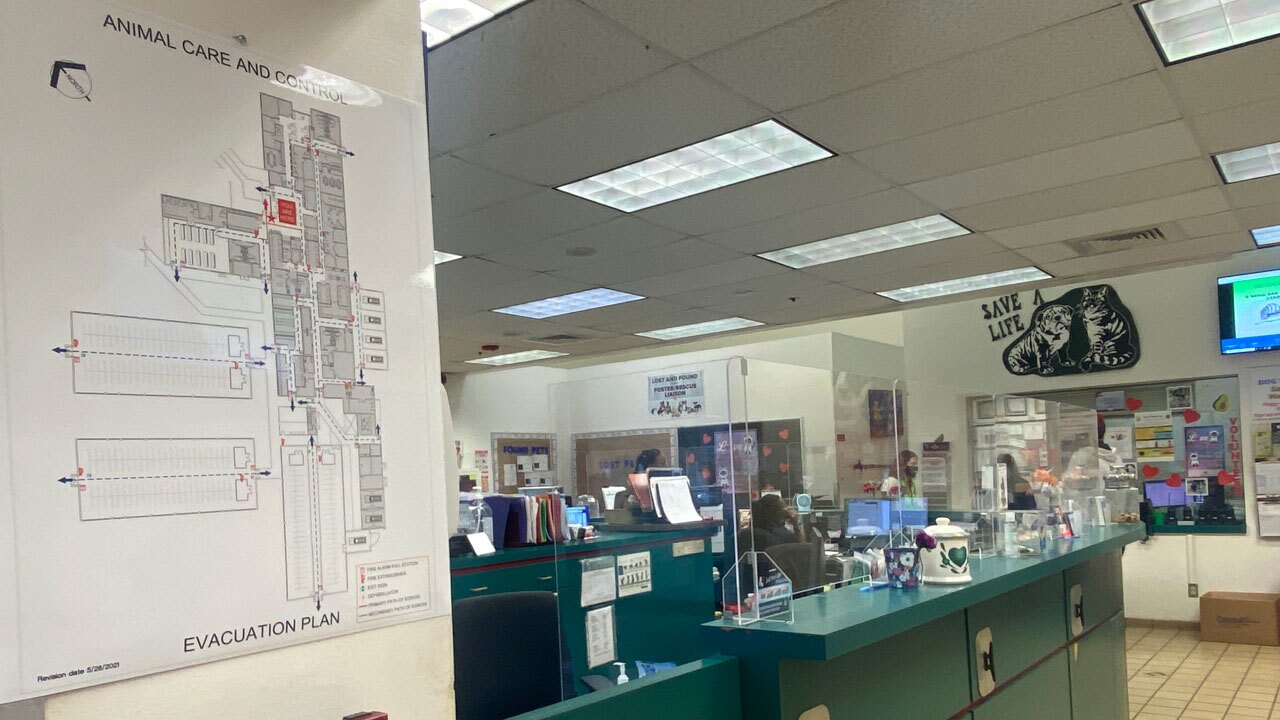 Fire evacuation map at Palm Beach County Animal Care and Control