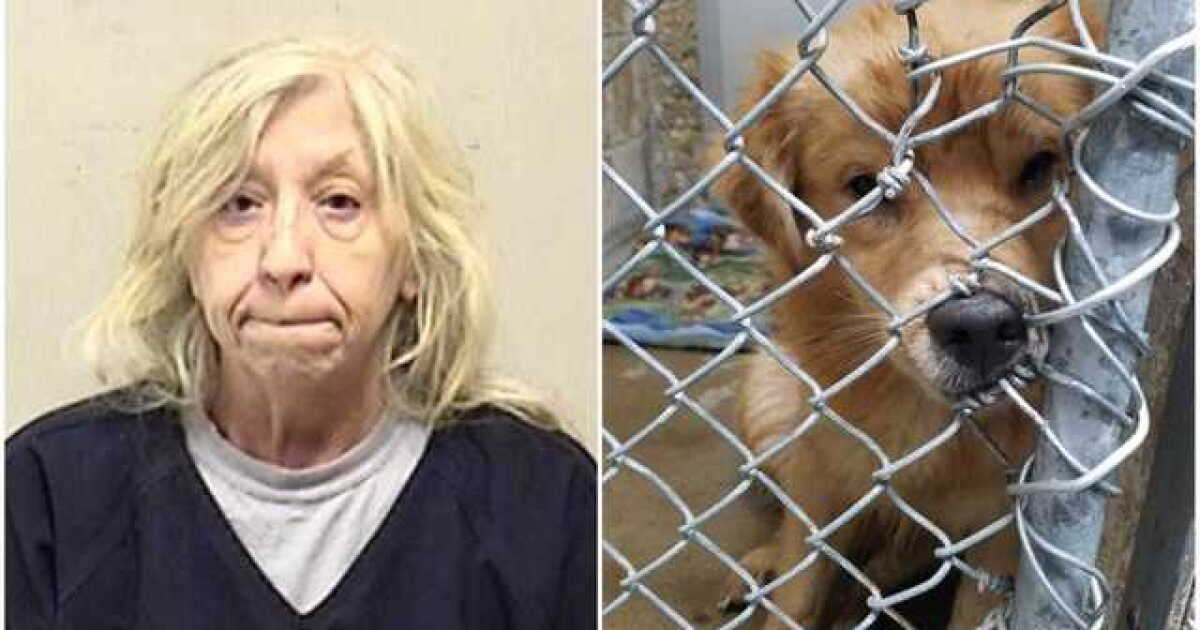 52 dogs removed from Pleasant Prairie home