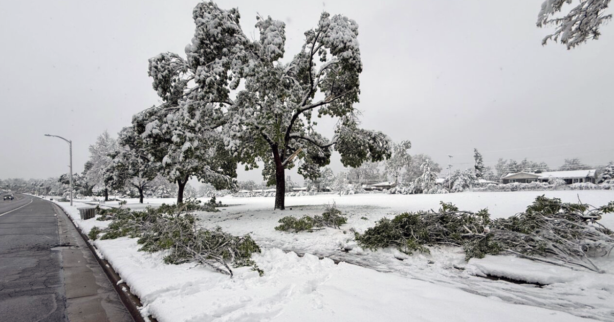 Weather News Front Range digging out after overnight snowstorm snaps trees, knocks out power A late-season snowstorm that slammed Colorado’s Front Range Tuesday night and into Wednesday morning brought down trees and poles and knocked out p