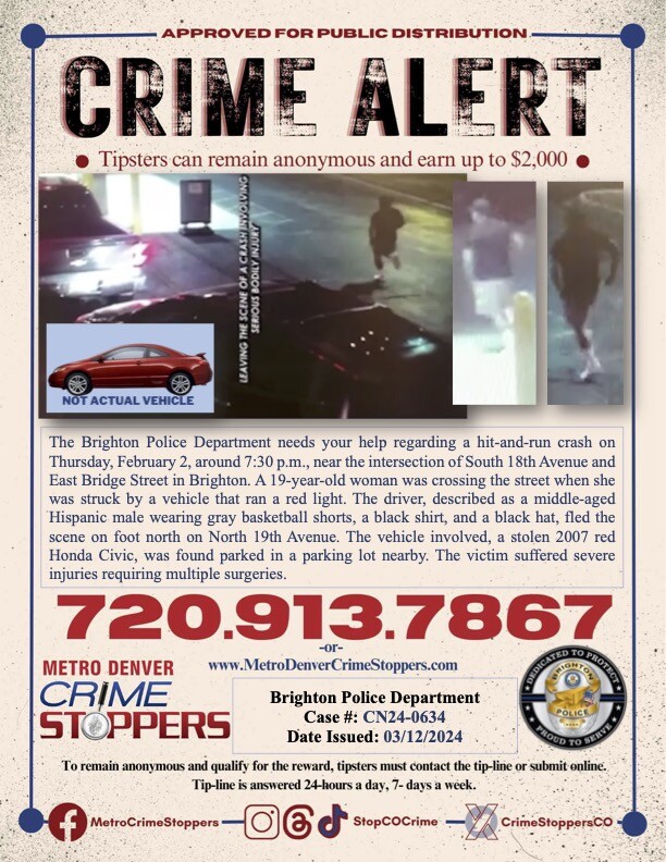 Brighton auto-ped hit-and-run South 18th Avenue and East Bridge Street 2-2-24