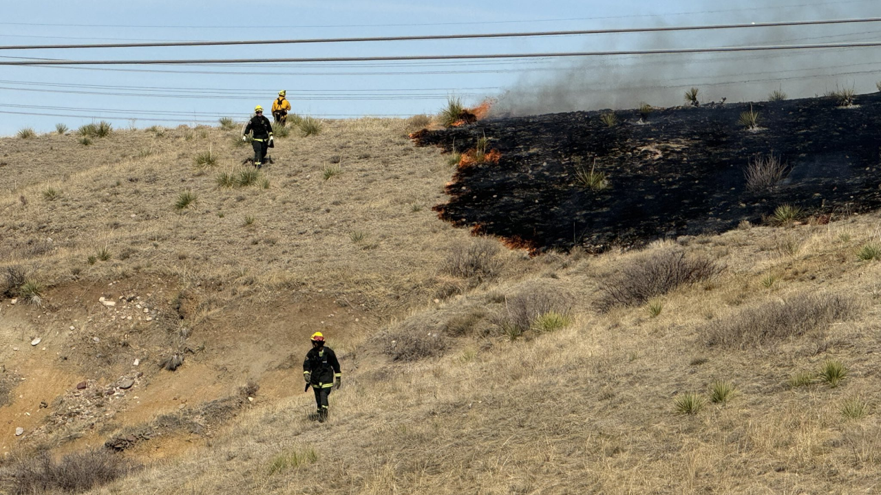 lone tree brush fire
