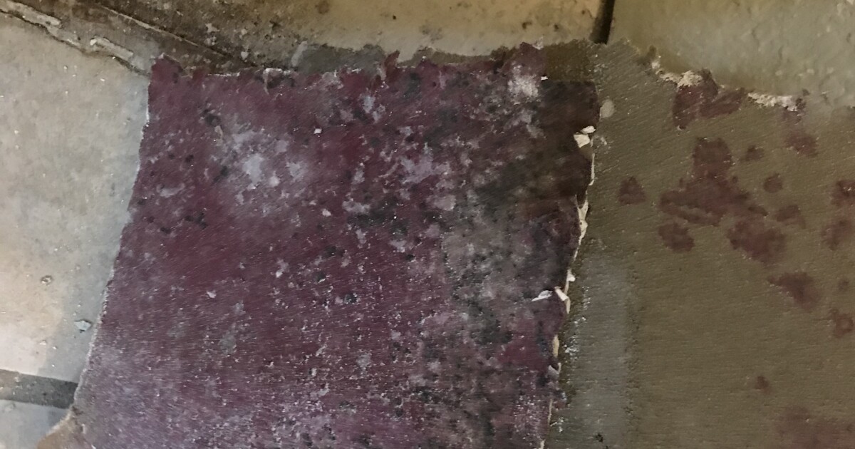 Renters' Rights How to deal with a mold problem