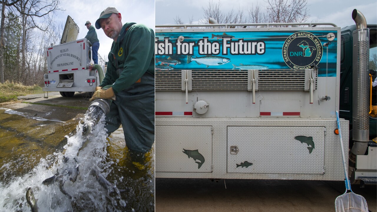 dnr fish stocking.jpg