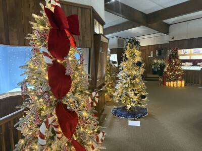 Warther’s Tree Festival