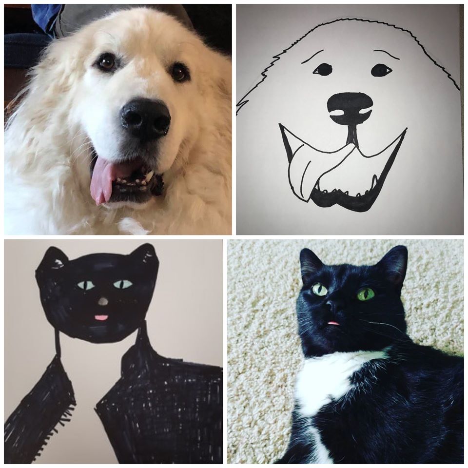 poorly drawn pets