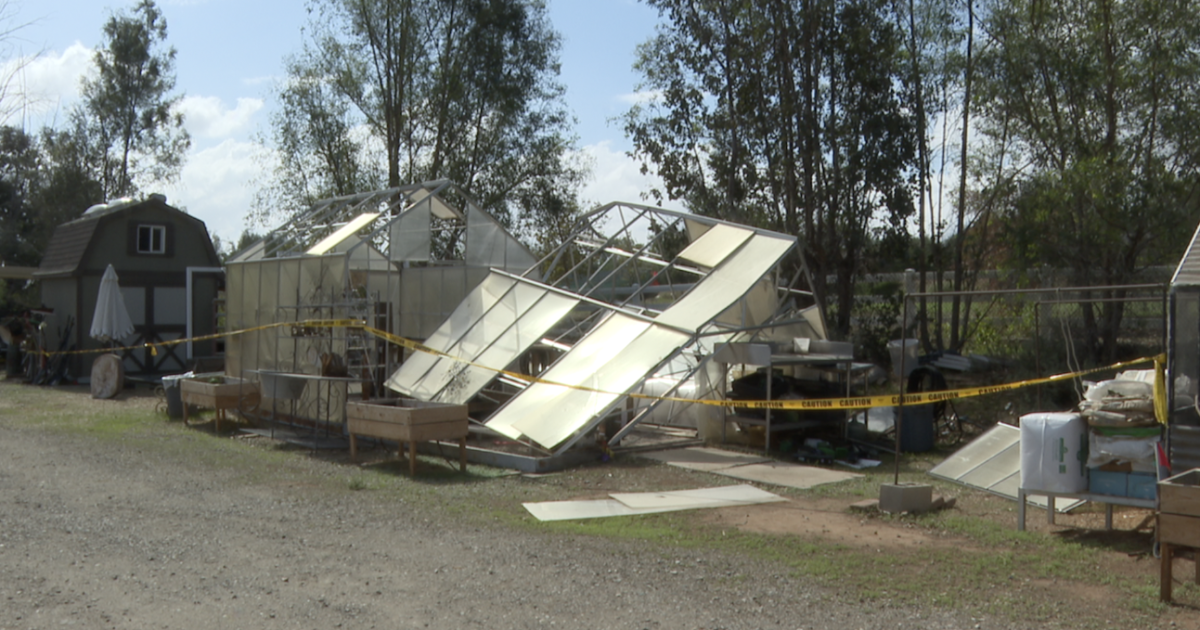 Escondido STEAM nonprofit seeks $35,000 to rebuild greenhouses leveled by Santa Ana winds