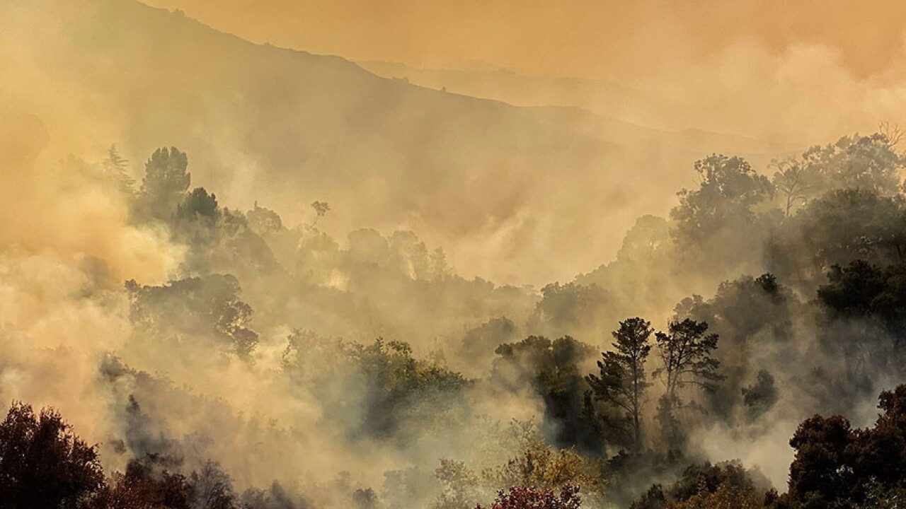 Santa Barbara Fire Map