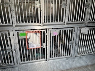 barnsdall humane society.jpg