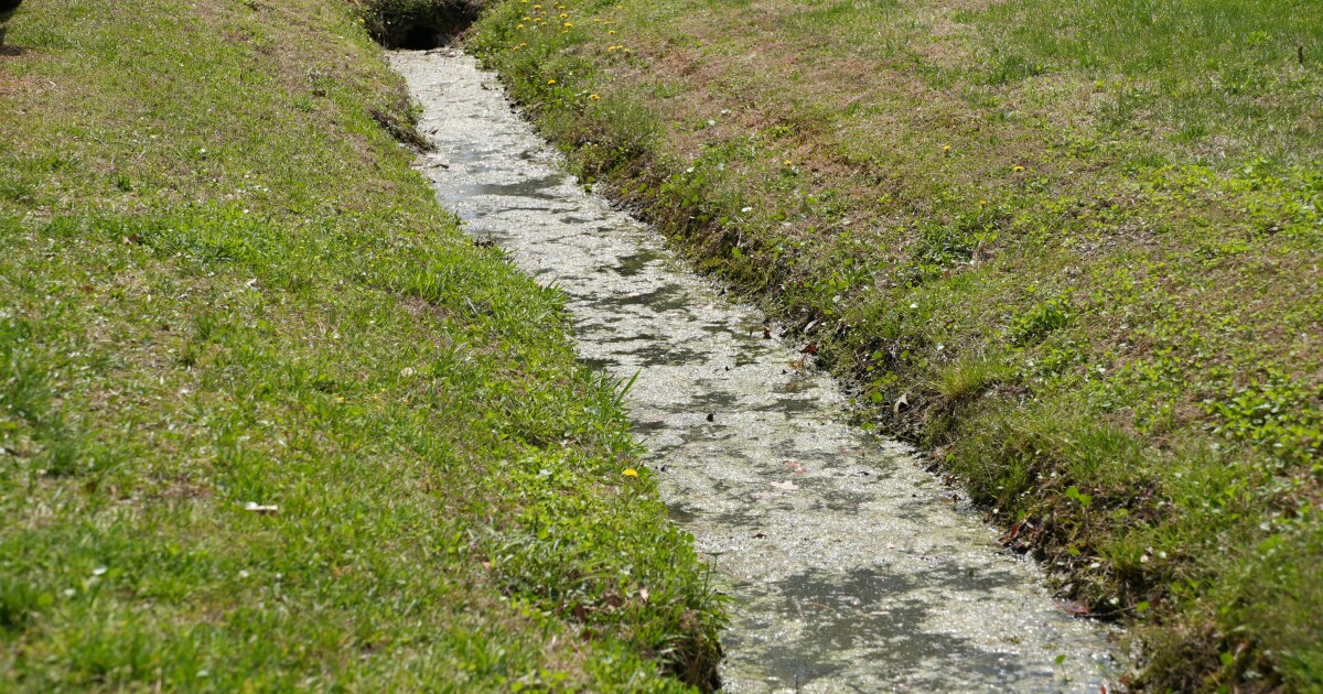 Chesapeake neighbors frustrated by flooded Boston Avenue drainage ditch