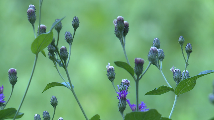 Screenshot 2025-08-15 at 3.22.52 PM.png