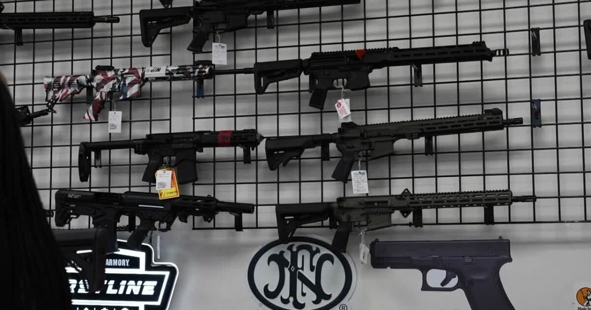 Virginia assault weapons sales ban blocked by judges ahead of July 1 start date