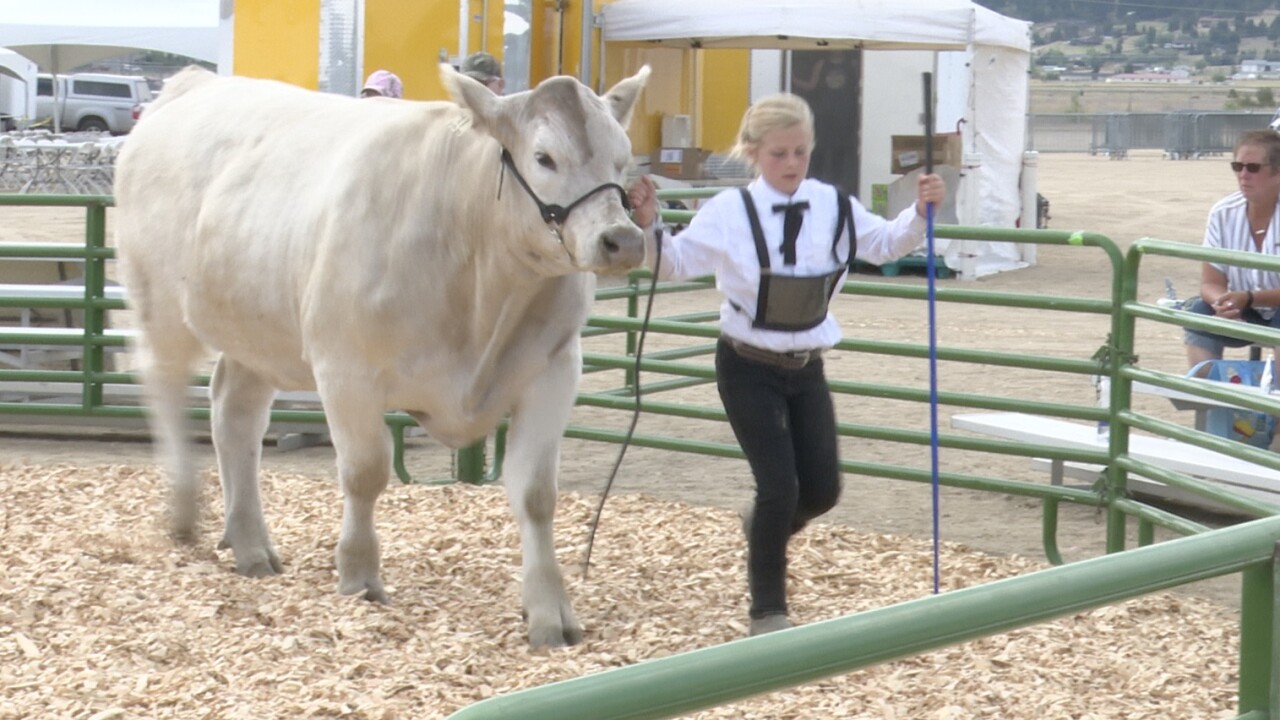 ButteSilver Bow County Fair kicks off