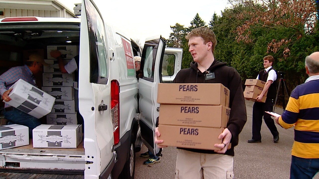 loading pears.jpg