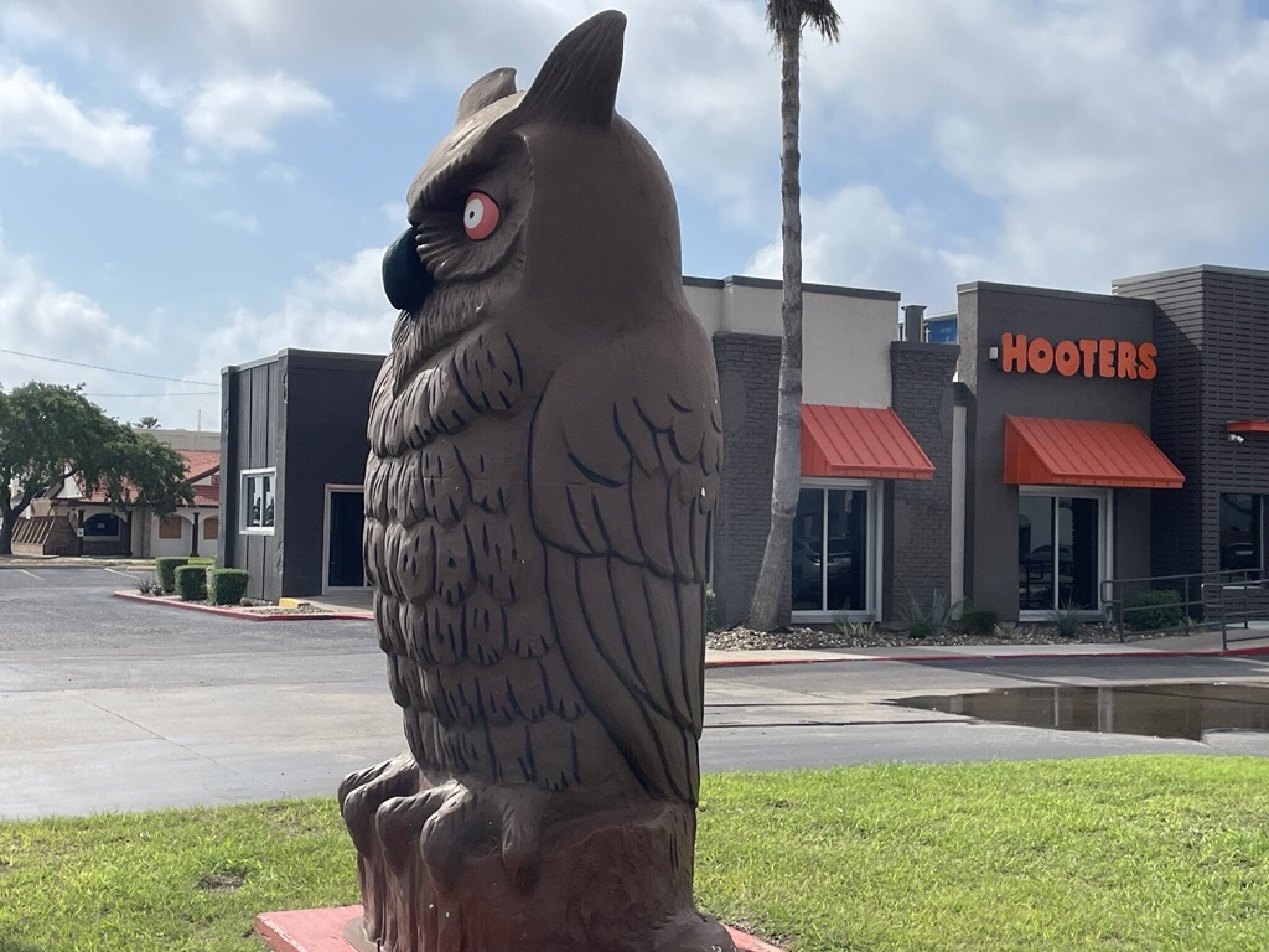 Corpus Christi Hooters shuts down following Chapter 11 bankruptcy